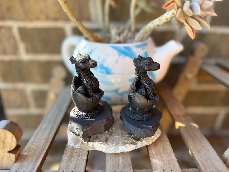 Shungite Dragon in Egg on Base, Detailed Carving, grounding & protection stone FB3448 🐉