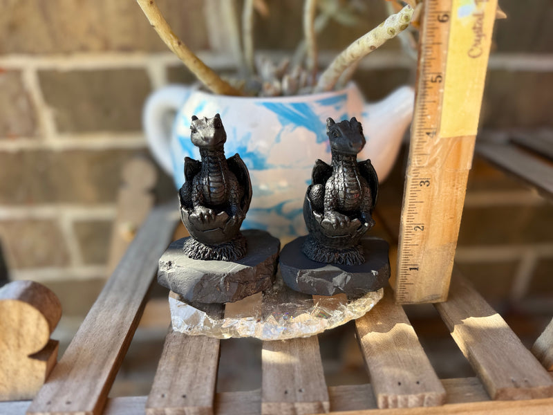 Shungite Dragon in Egg on Base, Detailed Carving, grounding & protection stone FB3448 🐉