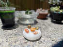 Selenite Etched Round Charging Plates / Bases for crystal grids and display FB1488
