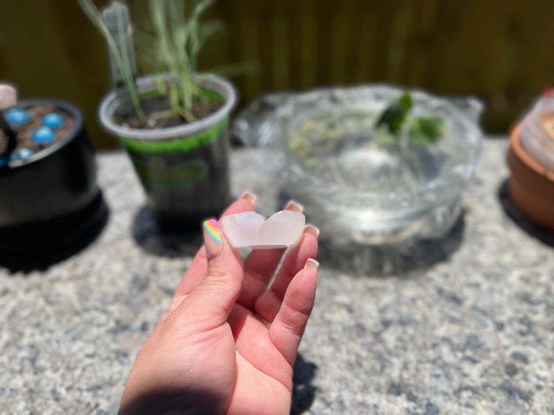 Selenite Round Bowls from Morocco, strong vibration, Angelic Realm FB3143
