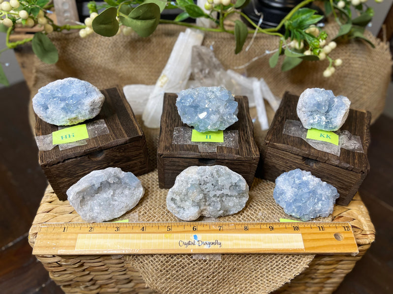 Celestite Clusters from Madagascar - Angelic Realm Crystal FB1306 🌸