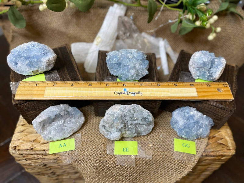 Celestite Clusters from Madagascar - Angelic Realm Crystal FB1306 🌸
