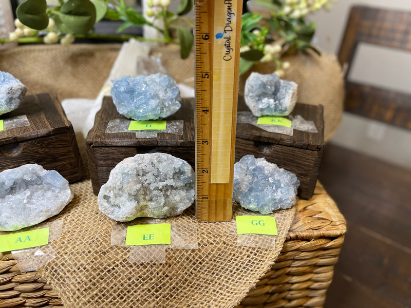 Celestite Clusters from Madagascar - Angelic Realm Crystal FB1306 🌸