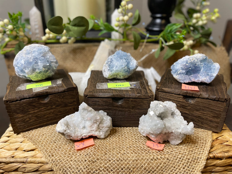 Celestite Clusters from Madagascar - Angelic Realm Crystal FB1306 🌸