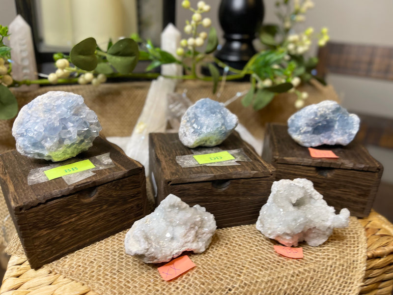 Celestite Clusters from Madagascar - Angelic Realm Crystal FB1306 🌸
