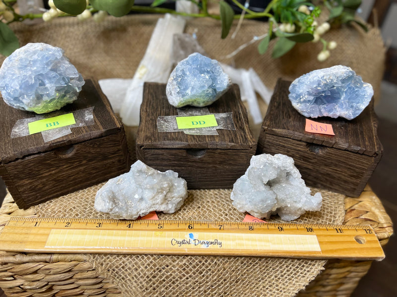 Celestite Clusters from Madagascar - Angelic Realm Crystal FB1306 🌸
