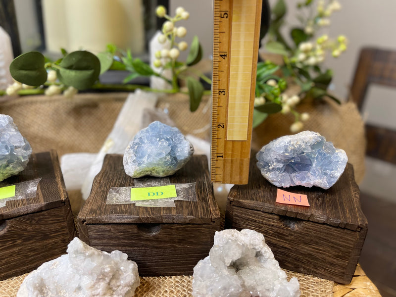 Celestite Clusters from Madagascar - Angelic Realm Crystal FB1306 🌸