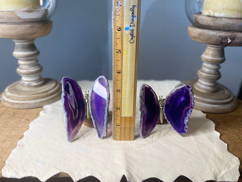 Purple or Blue Agate Butterfly Carving, Totem / Spirit Animal FB3355 🦋🦋