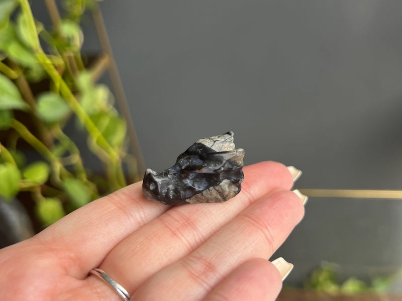 Mini gemstone carved Dragon Head or Crow Head Carvings Totem / Spirit Animal FB2774