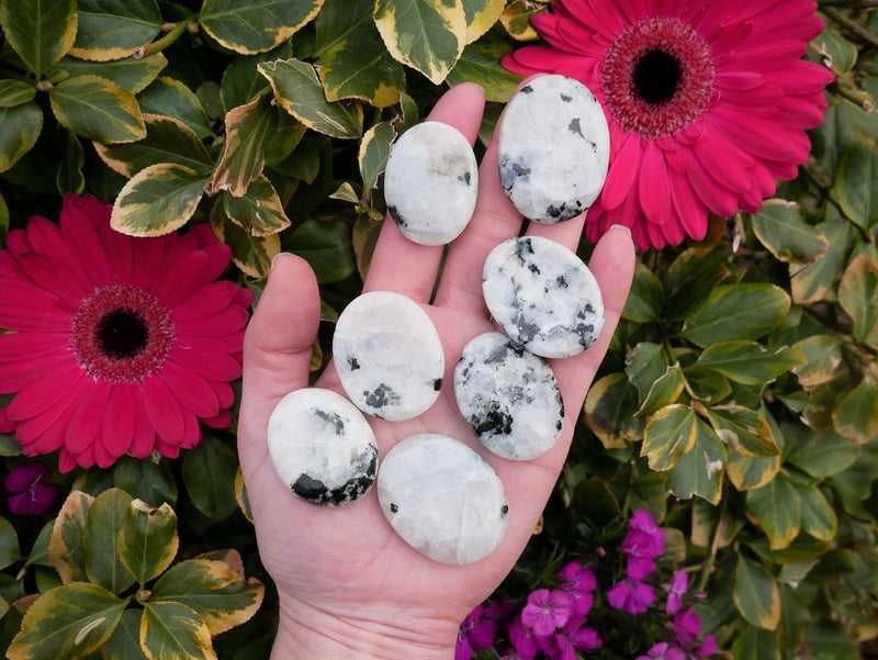 Rainbow Moonstone Worry Stones FB1531 💦