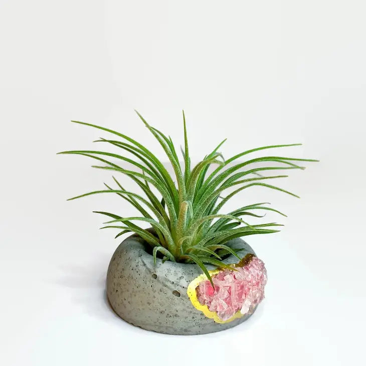 Crystal Air Plant, Small Plant or treasure Holder - Geode Planter Pot FB3190