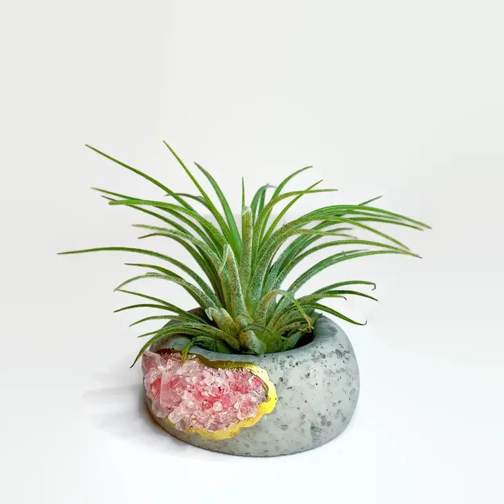 Crystal Air Plant, Small Plant or treasure Holder - Geode Planter Pot FB3190