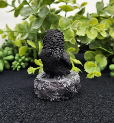 Shungite Owl & Owlet on Base, grounding FB1346 🦉