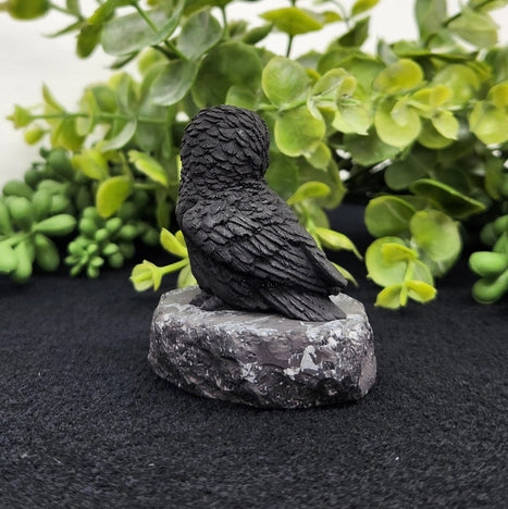 Shungite Owl & Owlet on Base, grounding FB1346 🦉
