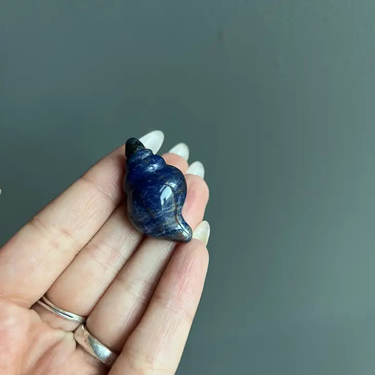 Sodalite Shell Carving intuition, growth, awareness FB3343