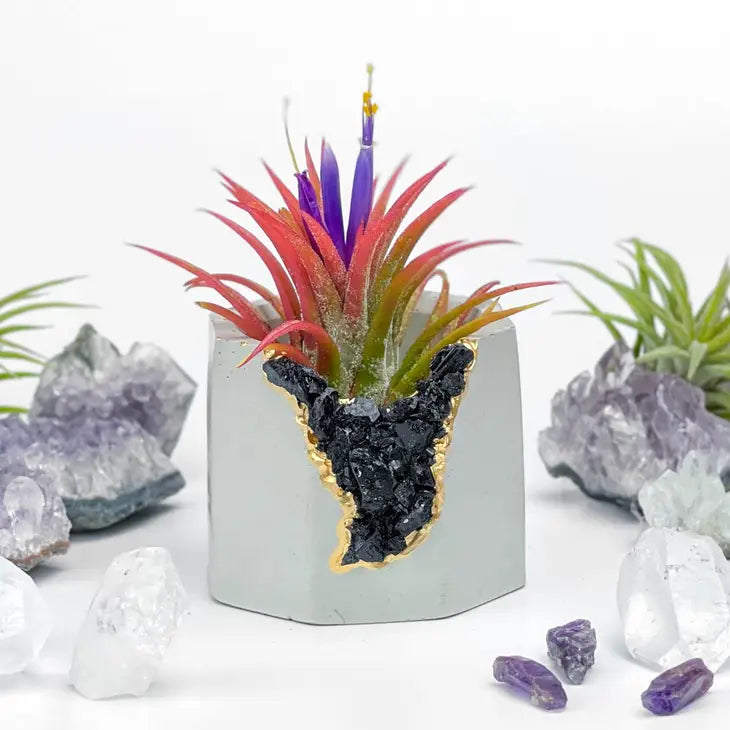 Crystal Air Plant, Small Plant or treasure Holder - Geode Planter Pot FB3190