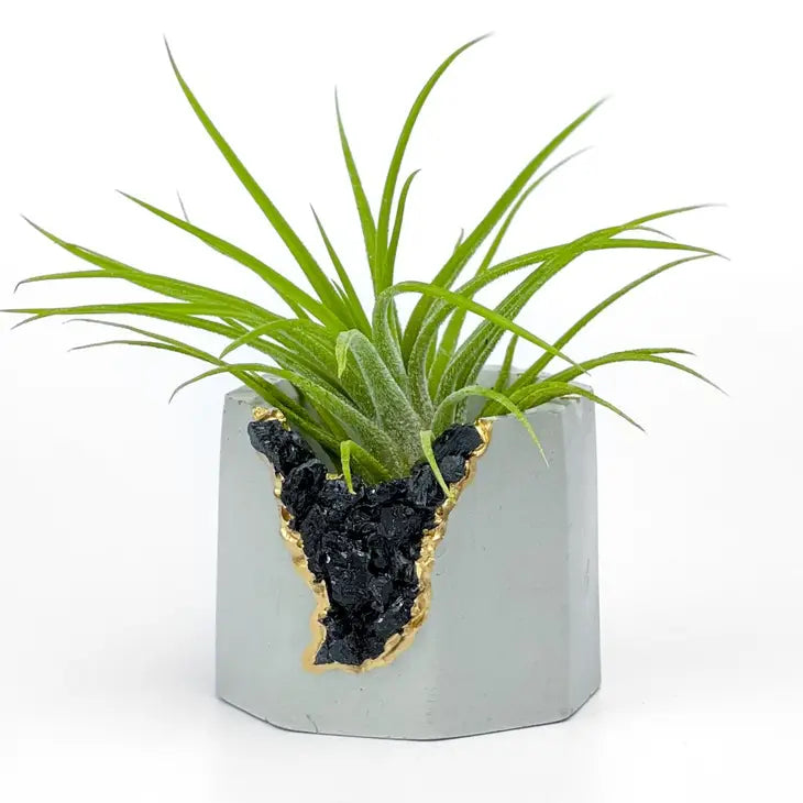 Crystal Air Plant, Small Plant or treasure Holder - Geode Planter Pot FB3190