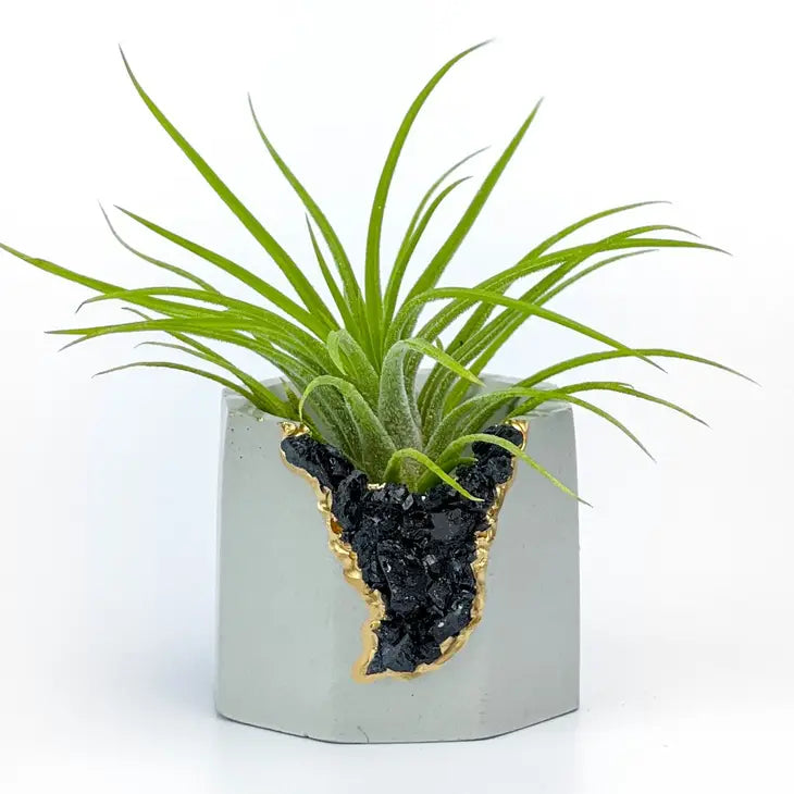 Crystal Air Plant, Small Plant or treasure Holder - Geode Planter Pot FB3190