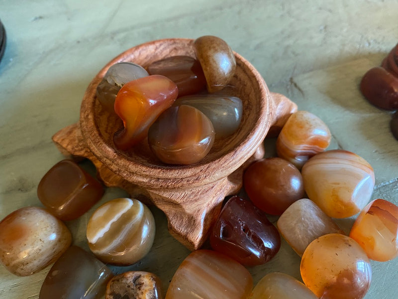 Tumbled Carnelian Free Form Shapes - Grounding, Vitality & Motivation - FB2979