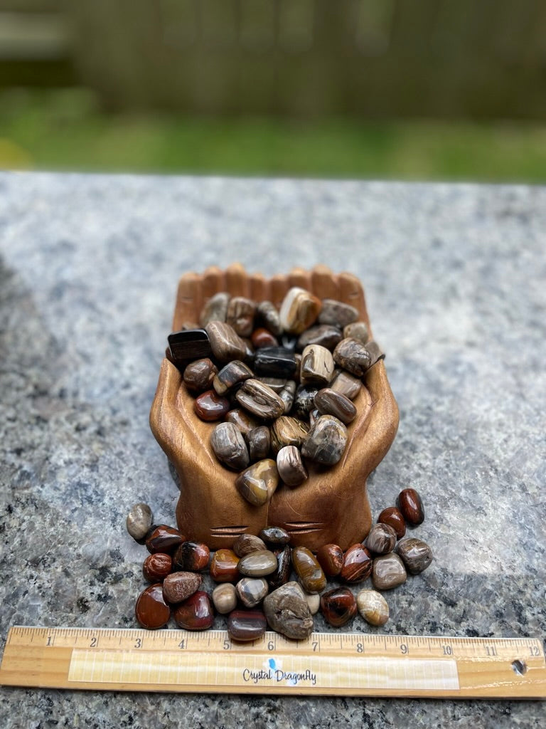 Tumbled Petrified Wood for Patience & Grounding and overcoming obstacles