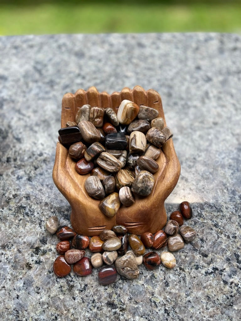 Tumbled Petrified Wood for Patience & Grounding and overcoming obstacles