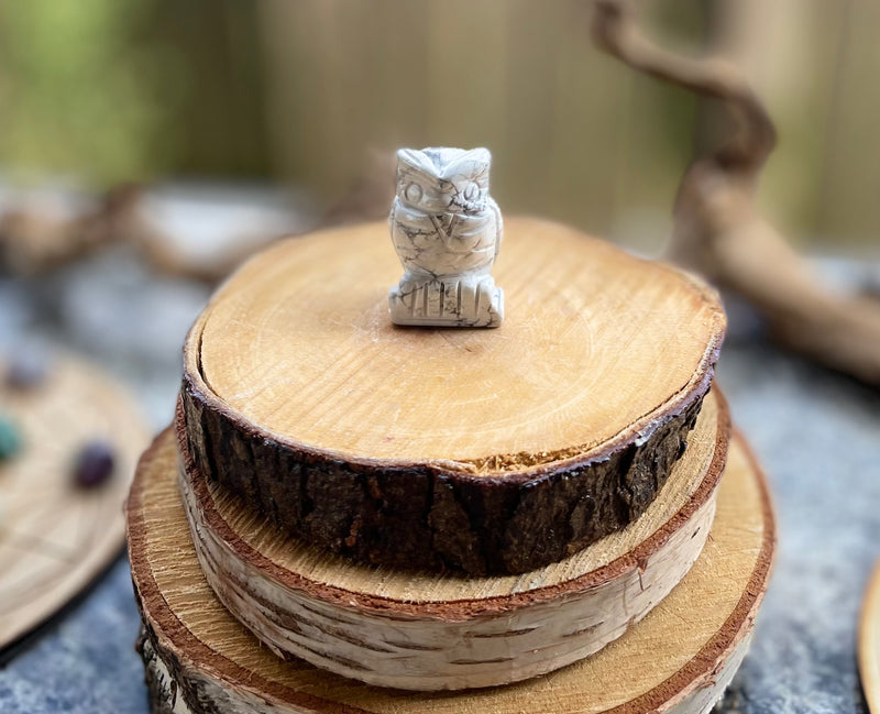White Howlite Owl, Totem Spirit Stone FB2890
