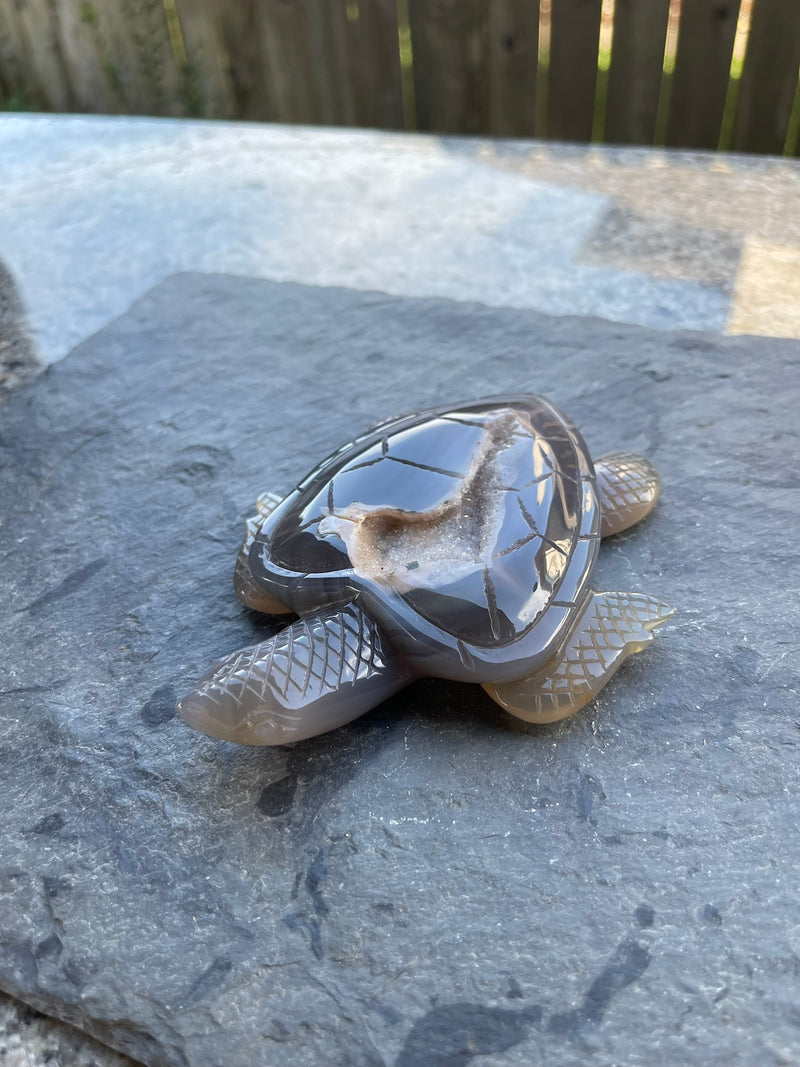 Agate Geode / Drusy Sea Turtle, Spirit / Totem Animal FB2079