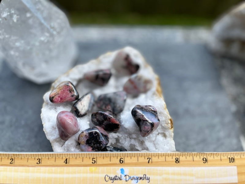 Tumbled Rhodonite in Quartz or Dioptase FB1253