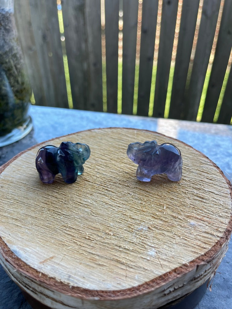 Elephant Totem/Spirit Animal Carving, Fluorite FB2060 🐘