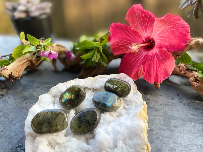 Labradorite Hand Pebbles with Flash - The Stone of Magic and Inner Spirit FB1398