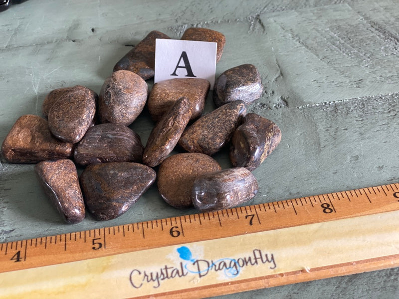 Tumbled Bronzite for decision, big picture, empowerment