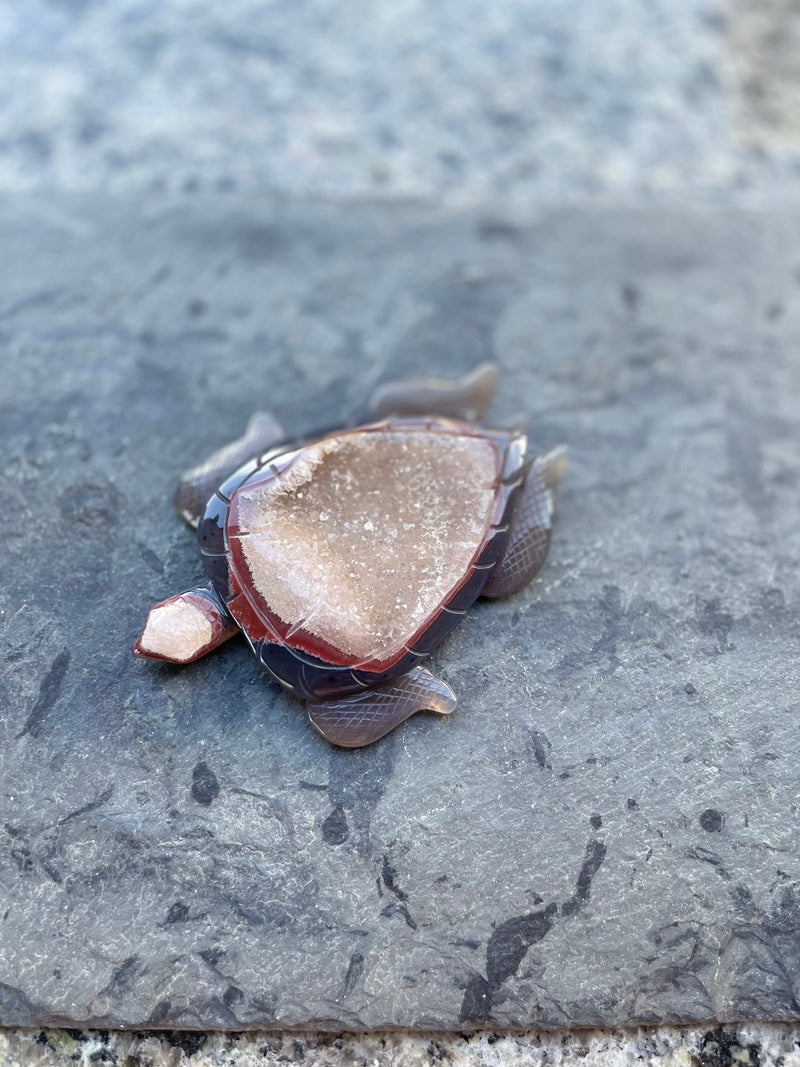 Agate Geode / Drusy Sea Turtle, Spirit / Totem Animal FB2079