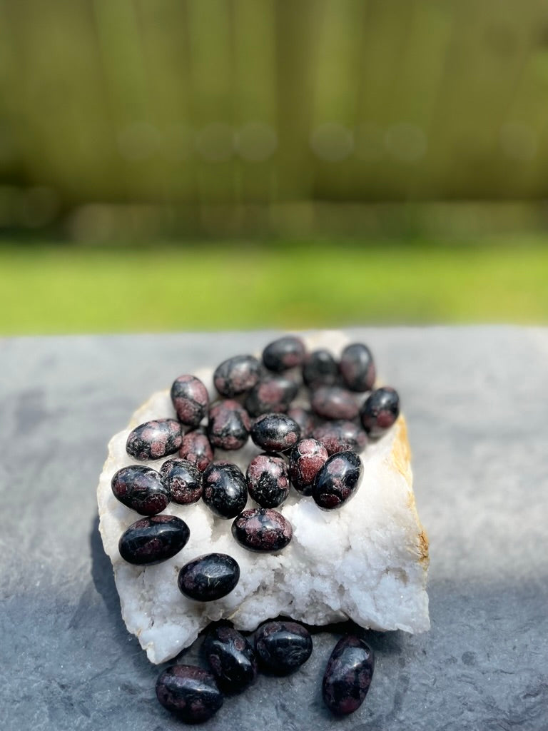 Tumbled Astrophyllite with Garnet, for awareness, letting go, moving forward