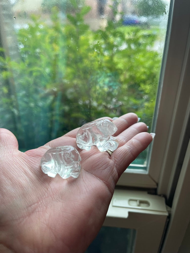 Frog Totem/Spirit Animal Carving, Hand Carved in Clear Quartz FB1062