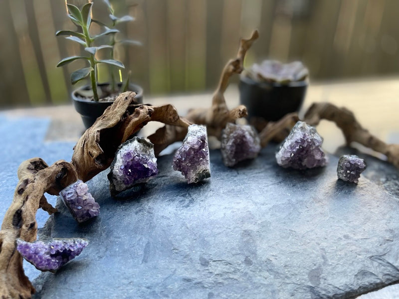 Amethyst Clusters from Uruguay FB1595