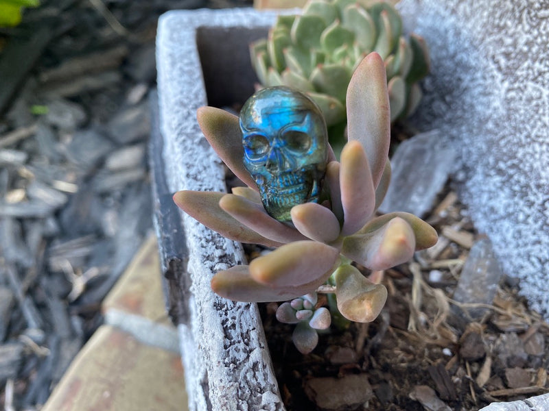 Labradorite Carved Skull Cabochon, Premium Quality FB1735