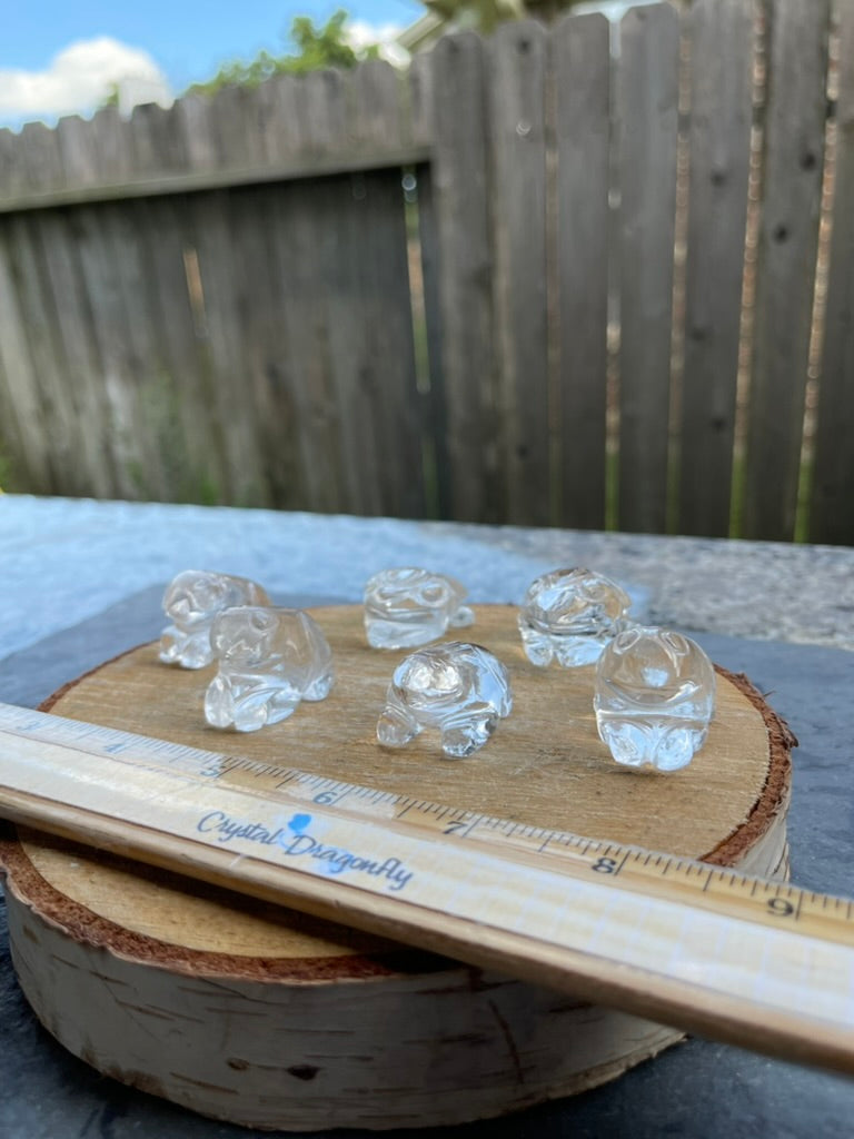 Frog Totem/Spirit Animal Carving, Hand Carved in Clear Quartz FB1062