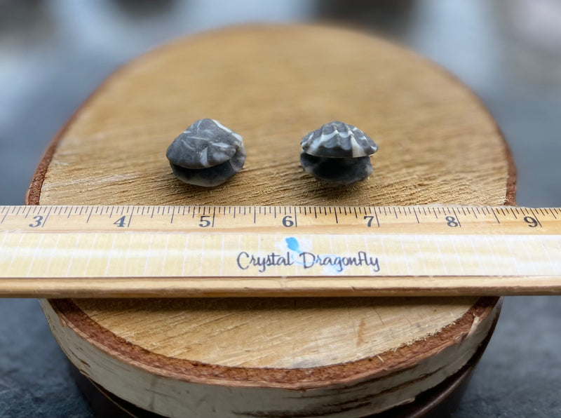 Shell carvings, finely detailed in assorted stones FB2133