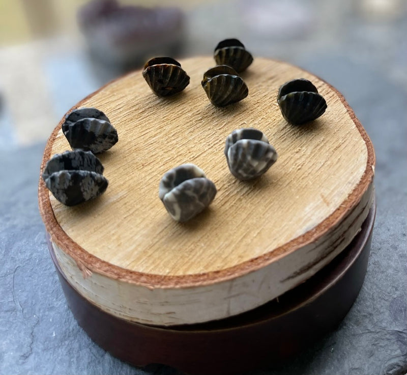 Shell carvings, finely detailed in assorted stones FB2133