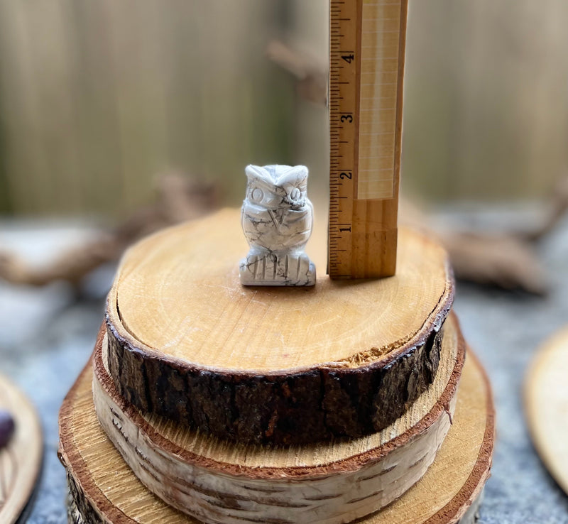 White Howlite Owl, Totem Spirit Stone FB2890