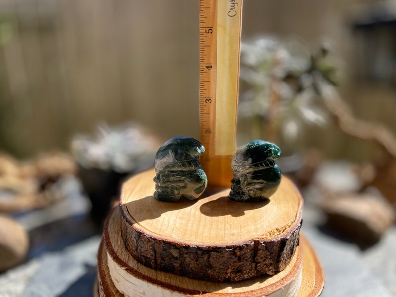 Moss Agate Skull with Santa Hat
