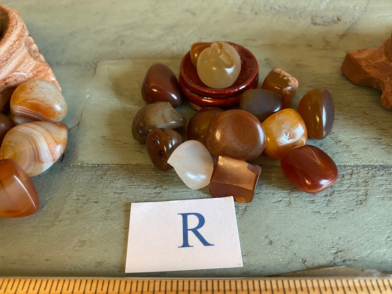 Tumbled Carnelian Free Form Shapes - Grounding, Vitality & Motivation - FB2979