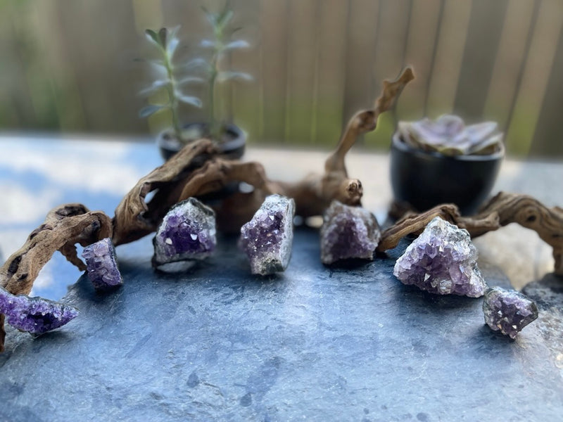 Amethyst Clusters from Uruguay FB1595