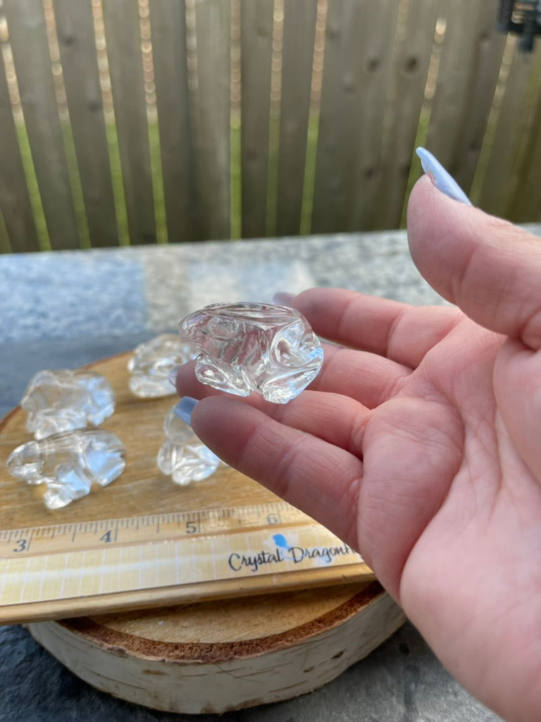 Frog Totem/Spirit Animal Carving, Hand Carved in Clear Quartz FB1062