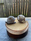 Agate Geode Drusy Carved Snail FB1055 π