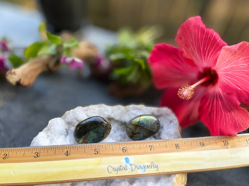 Labradorite Hand Pebbles with Flash - The Stone of Magic and Inner Spirit FB1398