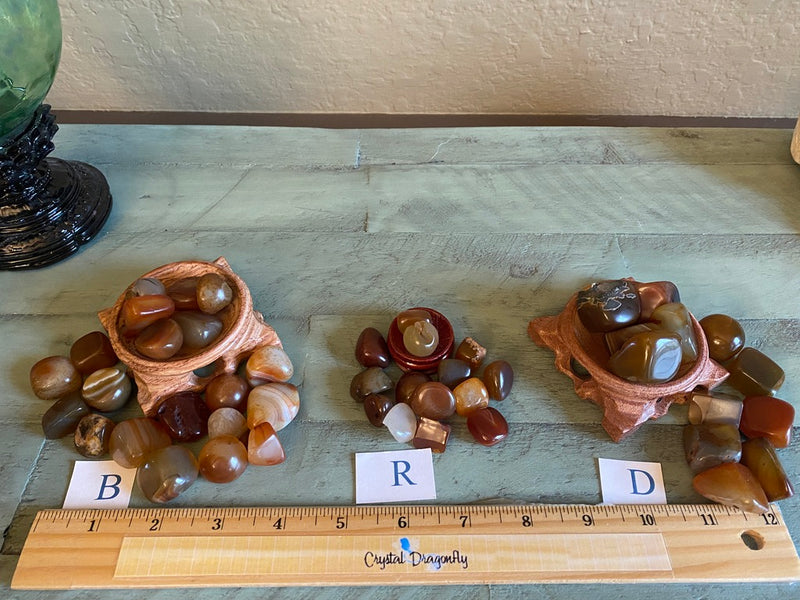 Tumbled Carnelian Free Form Shapes - Grounding, Vitality & Motivation - FB2979