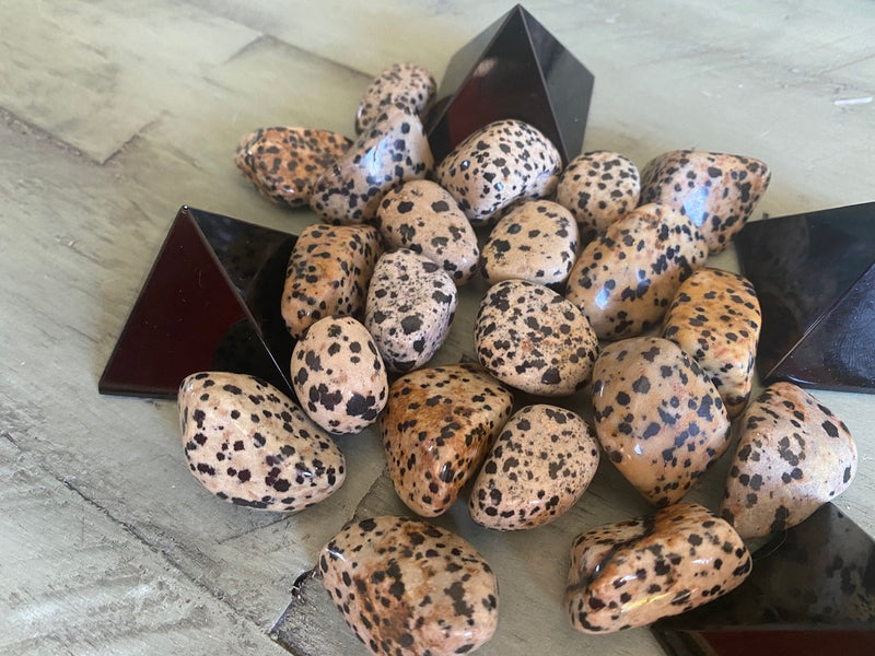 Tumbled Dalmatian Jasper - Teamwork, Cooperation, Strengthens Friendships