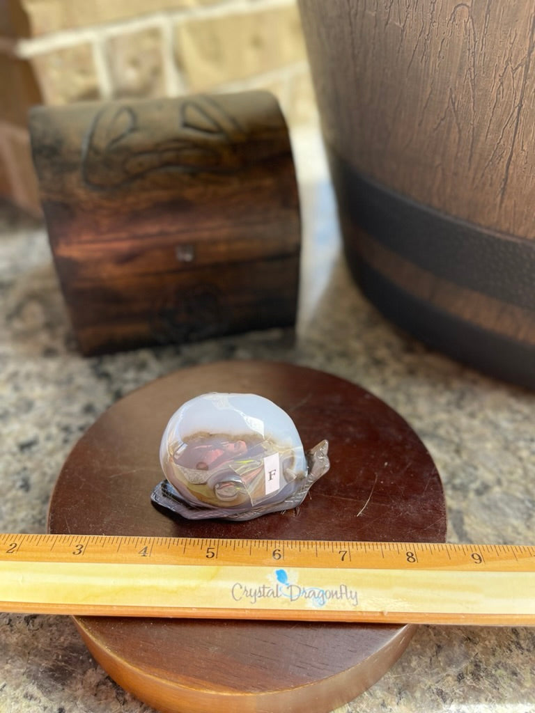 Agate Geode Drusy Carved Snail FB1055
