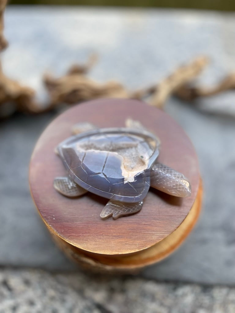 Agate Geode / Drusy Sea Turtle, Spirit / Totem Animal FB2079